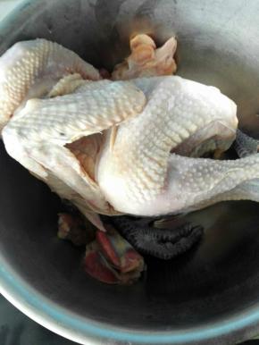 2、将仔鸡清洗干净，肚子里面也要冲洗干净。