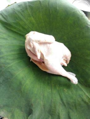 5、腌好后，把鸡放荷叶中间裹好。