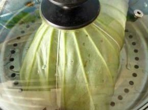 7、放入蒸锅，大火烧开再蒸一个小时，时间根据鸡的大小来定，大的适当延长时间。
