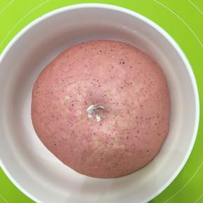 发酵到原面团的2-2.5倍，手指沾一点面粉戳一下，不回缩就可以了