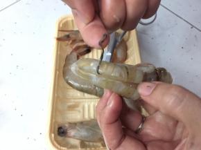 还有虾脚也剪去