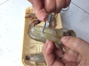 还有虾脚也剪去