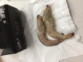 然后用纸巾擦拭虾上多余的水分