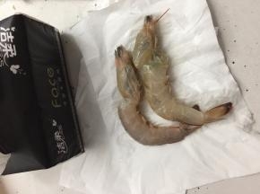 然后用纸巾擦拭虾上多余的水分