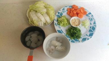 把大白菜切块，葱切小段，洋葱切碎，红萝卜切片。