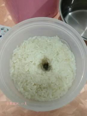 将拌匀的糯米放到奶罐里压实，在中间留个小洞洞好出酒