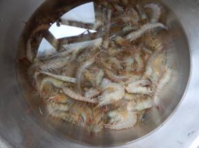 鸡尾虾 买回来