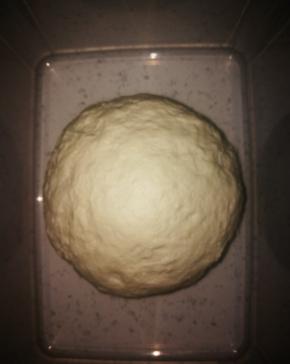 揉成如图这样就可以了，放入保鲜盒，放冰箱，中种要提前一晚制作