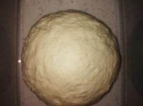 揉成如图这样就可以了，放入保鲜盒，放冰箱，中种要提前一晚制作