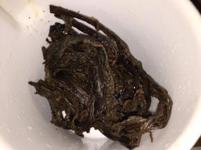 梅菜泡发