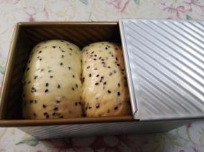 发酵至八分满，盖上盖子。烤箱预热190度，中下层，45分钟。烤好后，立即倒出，放凉后装袋。