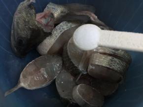 3. 用2小勺的盐先腌制一下（腌制20分钟左右）