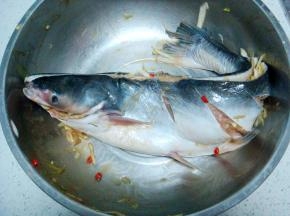 把鱼和起来，腌制一小时。（我是晚上腌的，盖上保鲜膜入冰箱冷藏，第二天上午开始烤，充分的入味了）