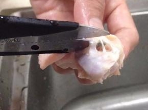 用厨房剪刀将鸡翅两端的肉筋剪断，然后将骨头慢慢拉出来。