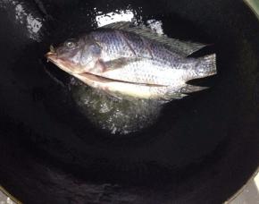 锅里倒入油，把福寿鱼放入锅里煎