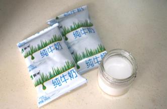 鲜牛奶和一杯自制的原味酸奶准备好，酸奶当引子；