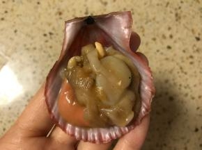取适量扇贝肉放在扇贝壳上。