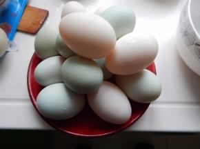鸭蛋清洗干净