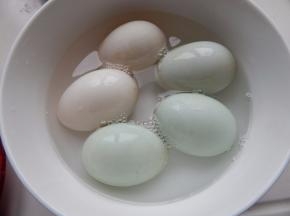 然后把鸭蛋放进泡泡