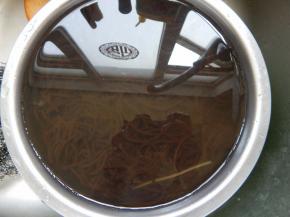 煮熟的加入清水里泡