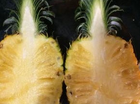 先把菠萝对半切开