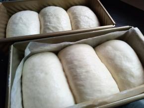 做好放入土司模具，放温暖处进行发酵，发8-9分满