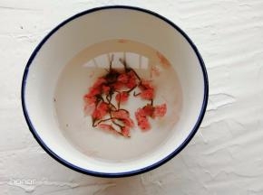 2.	樱花用温水浸泡2~3个小时。