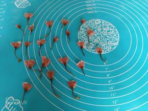 3.	泡好的樱花用厨房纸巾拭干水分。