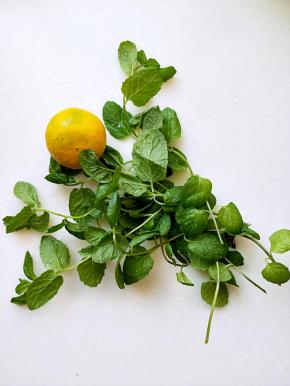 准备鲜薄荷洗净，柠檬一个，没有可不用。