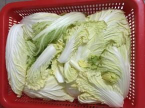 1. 大白菜洗净凉干
