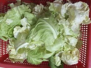 2. 椰菜洗好菜凉干水