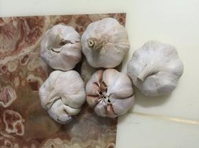 蒜头5个