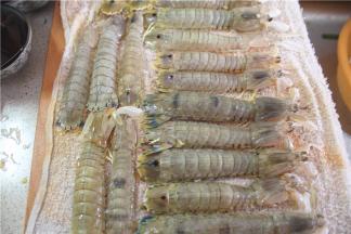 先用清水洗净皮皮虾，再用抹布滤干多余的水