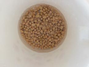 黄豆和大米淘洗干净