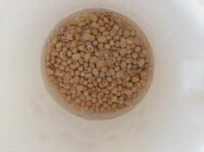 黄豆和大米淘洗干净