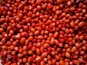 第二天 ，泡好的红豆，拿出来，泡豆子了水不要，倒掉，把豆子在洗一遍