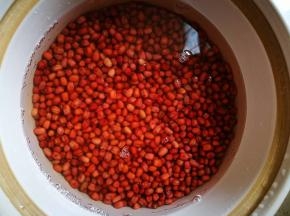 放入砂锅中，加适量水，不要加太多，如图