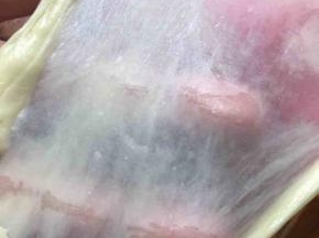 面团能够拉出手套膜