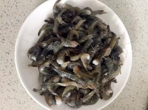 新鲜河虾洗净去头