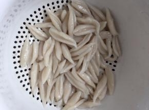 捞出过冷水
