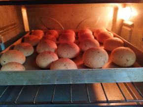 每个都膨胀起来了，胖嘟嘟