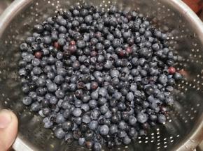 蓝莓用水冲洗一下，沥干水分