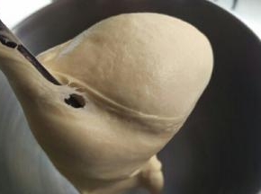 揉到这种后加入黄油（室温），再继续揉出膜。