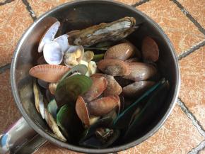 煮开口后倒去热水