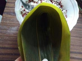 取2张粽叶，叠起来，成漏斗型