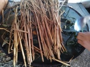 放入锅里煮（这一大锅有10斤哦）