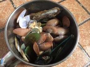 煮开口后倒去热水