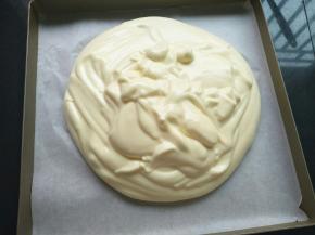 烤盘垫油纸或者油布，把蛋糕湖倒入烤盘里，大约剩2勺蛋糕湖备用