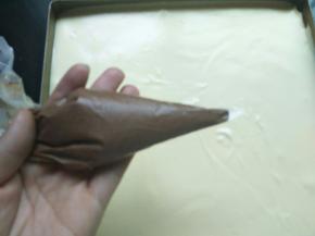 2勺蛋糕湖和可可粉混合均匀，装入一次性裱花袋