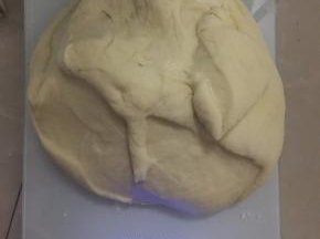分成等量的两大份